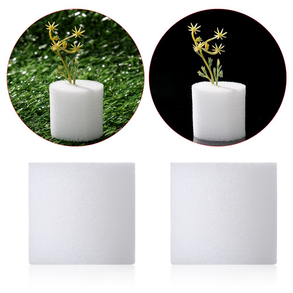 Aquarium Planted Seeds - 10/50pcs Durable Garden Supplies Aquarium Planting