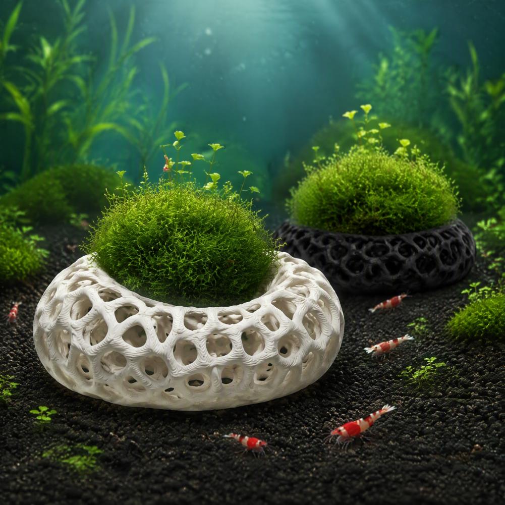 Cherry Shrimp Tank Decor 2-pac - Planted Aquarium Anubias ulasan dan harga