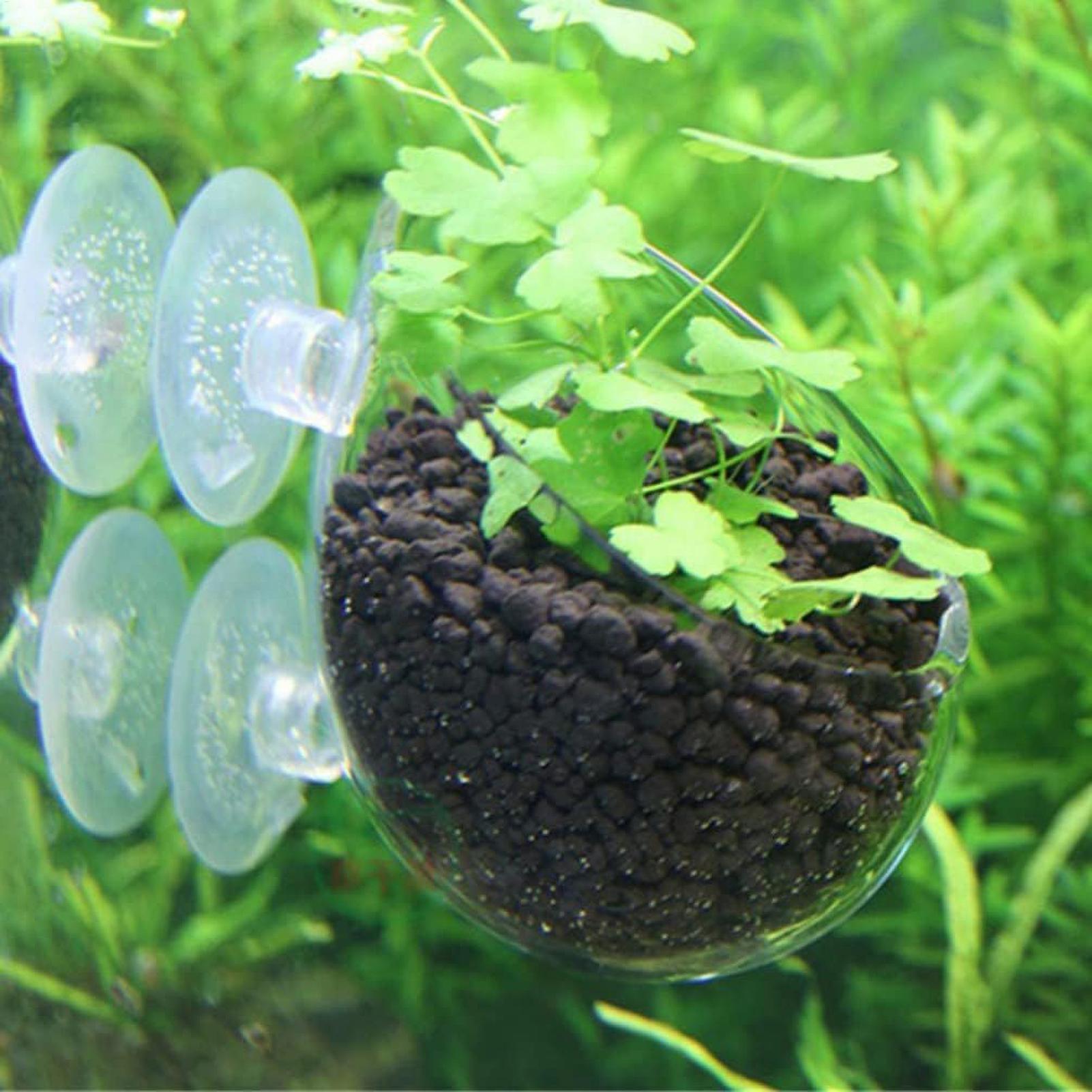 Aquarium Plant Holder Glass Aq - Aquarium Planted Tank Substrate ulasan dan harga