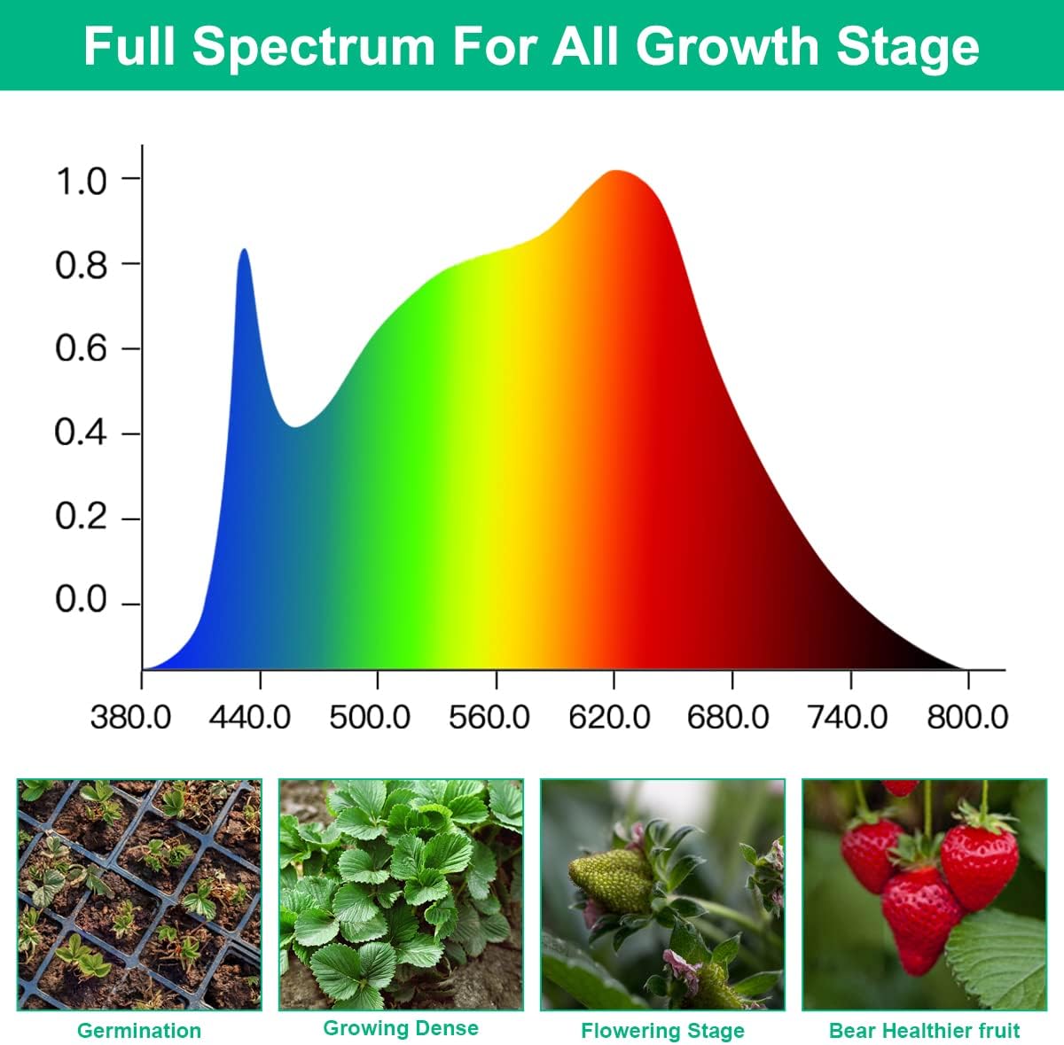 LED Grow Lamps Plant Full Spec - Aquarium Planted Seeds ulasan dan harga