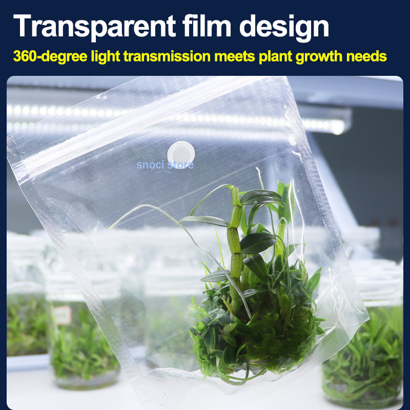 Tissue Culture Sealing Film, H - Tissue Culture Plant ulasan dan harga