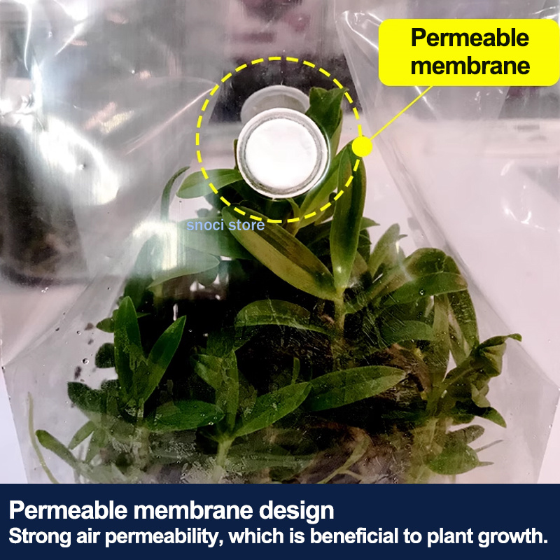 Tissue Culture Sealing Film, H - Tissue Culture Plant ulasan dan harga