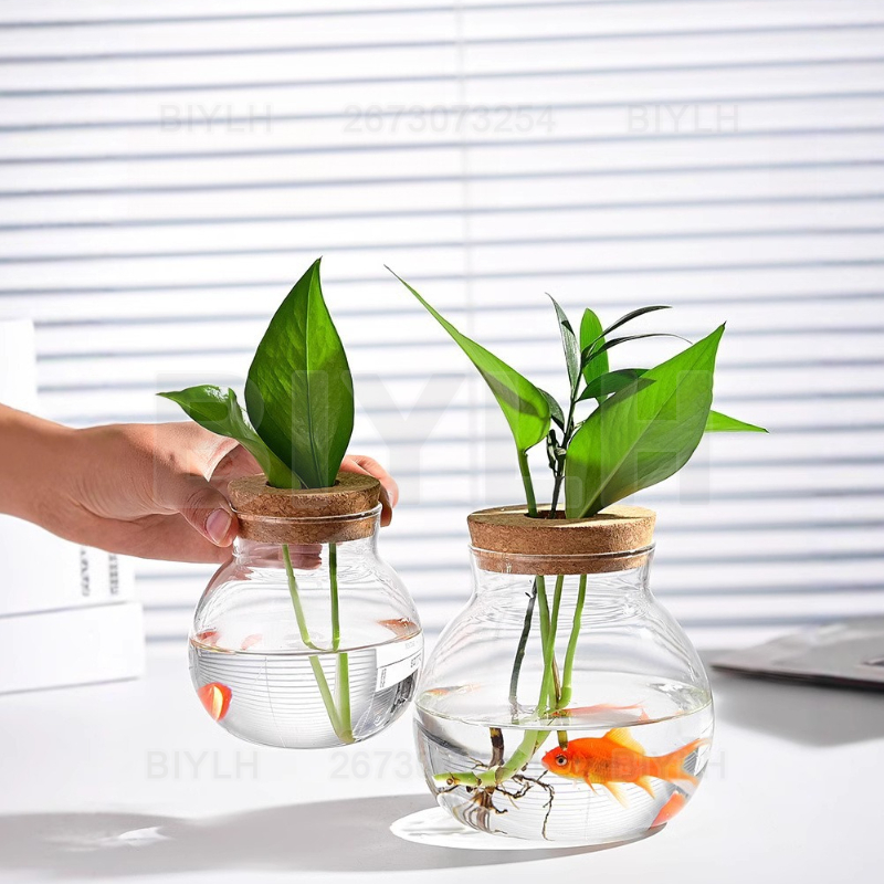 Hydroponic Plant Glass Vase Wi - Tissue Culture Plant ulasan dan harga