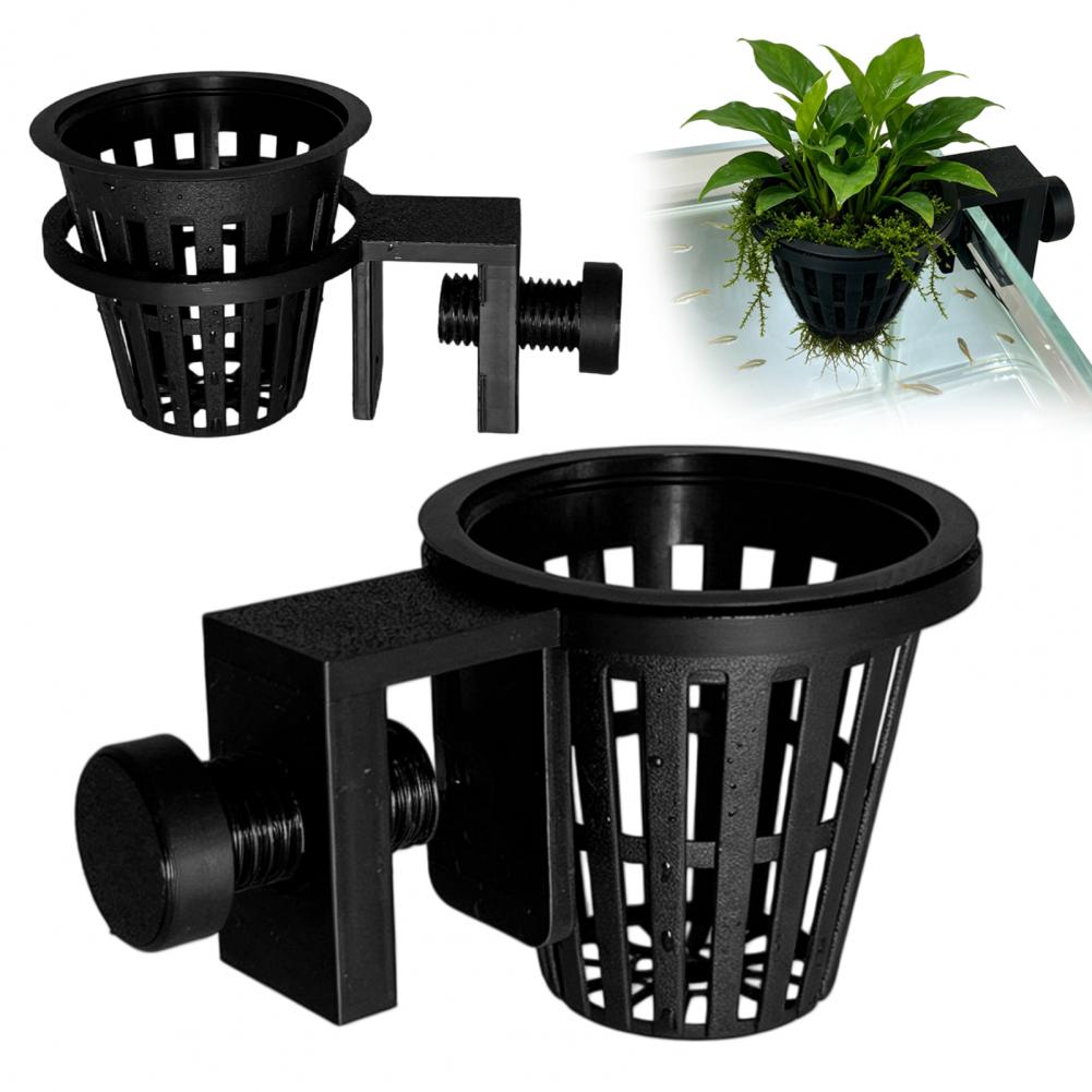 Fish Tank Decoration Aquarium  - Planted Aquarium Anubias ulasan dan harga