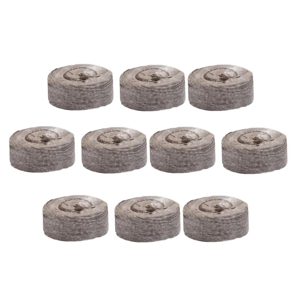 Peat Pellets Seed Starting Plu - Tissue Culture Plant ulasan dan harga