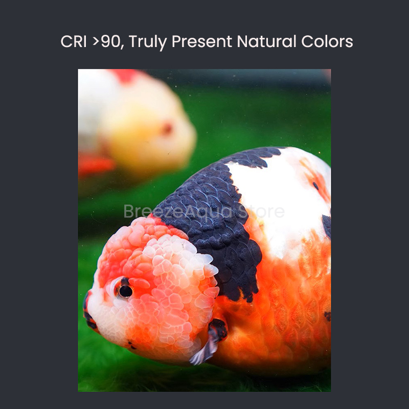 MAYIN Super Colour 100W Freshw - Planted Aquarium Freshwater ulasan dan harga
