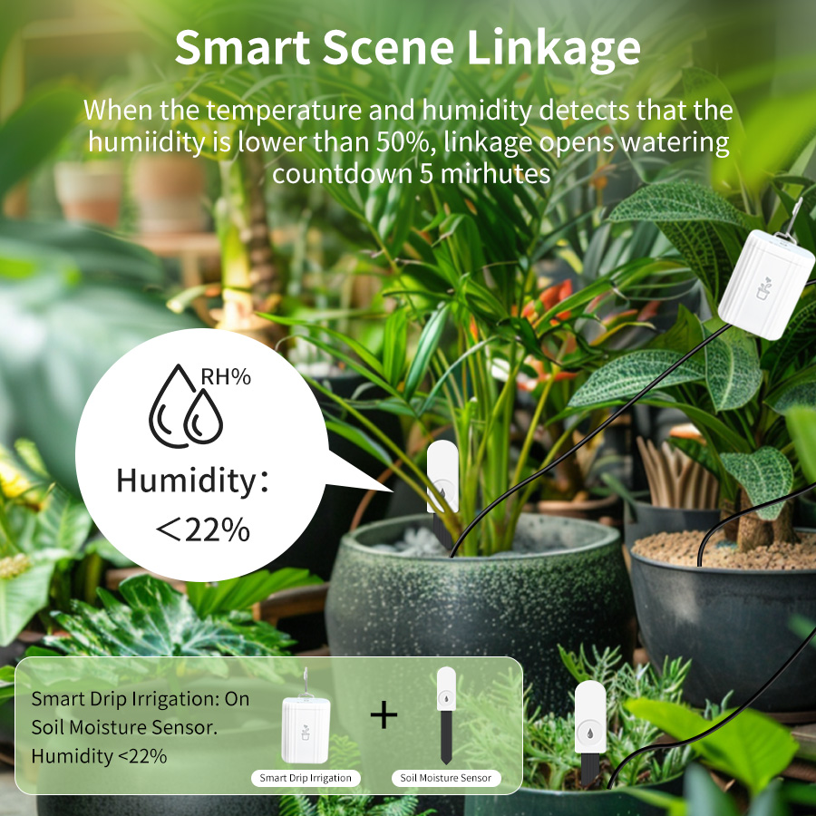 Smart Zigbee 3.0 Soil Tester H - Tissue Culture Plant ulasan dan harga