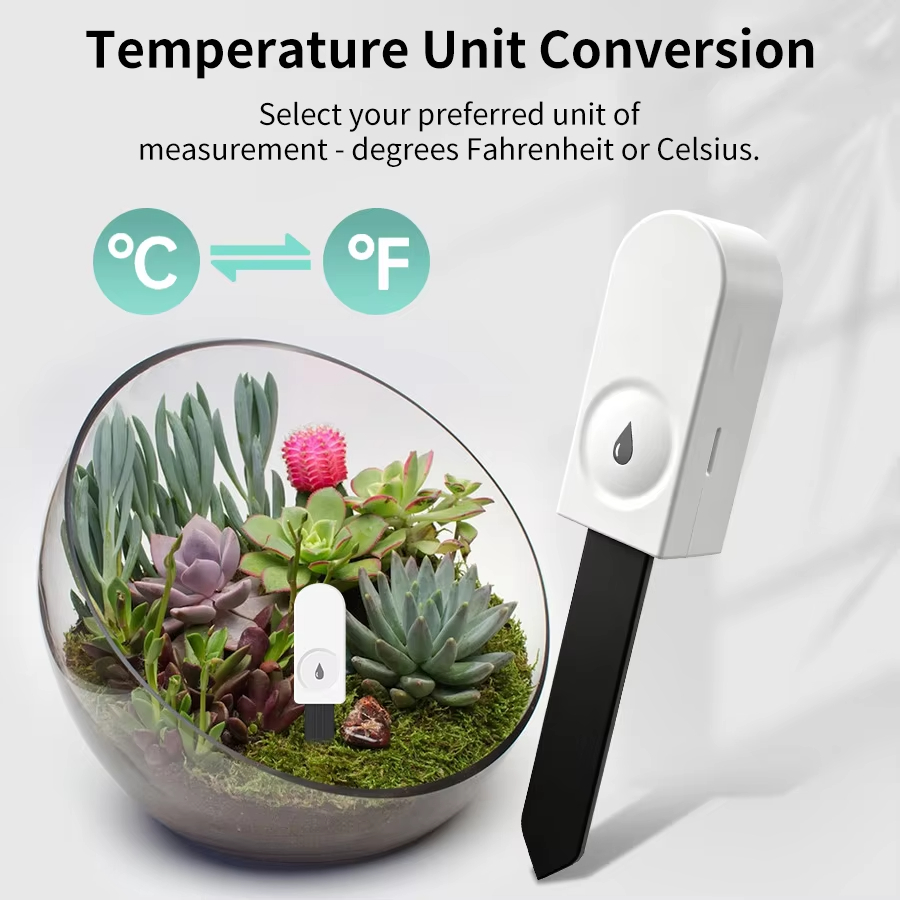 Zigbee 3.0 Plant Monitor Soil  - Tissue Culture Plant ulasan dan harga