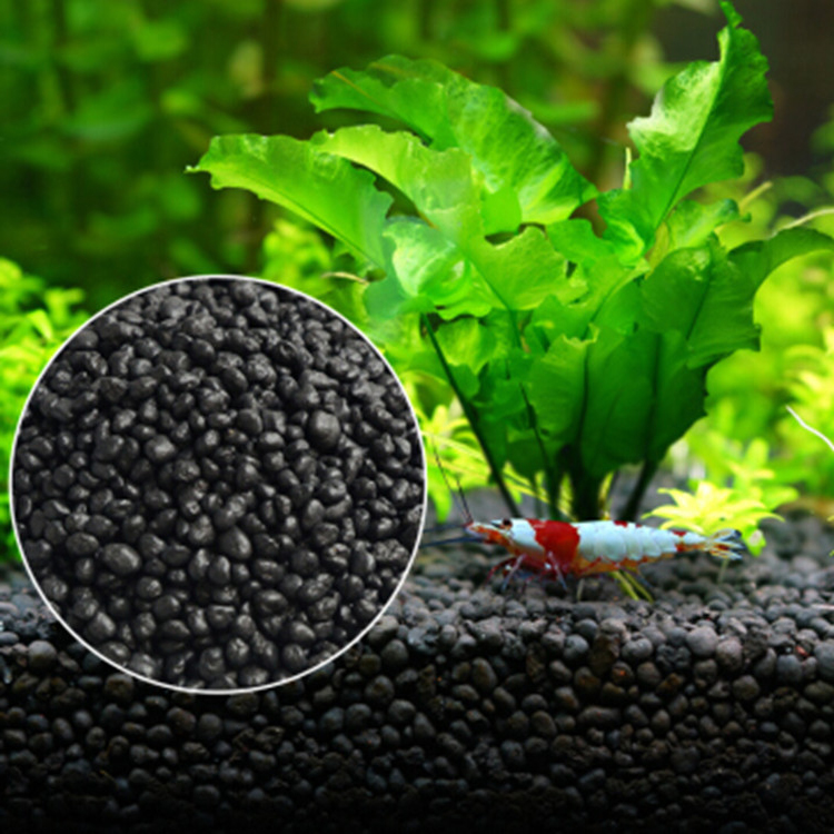 Aquarium Plant Seeds Soil Fish - Planted Aquarium Freshwater ulasan dan harga