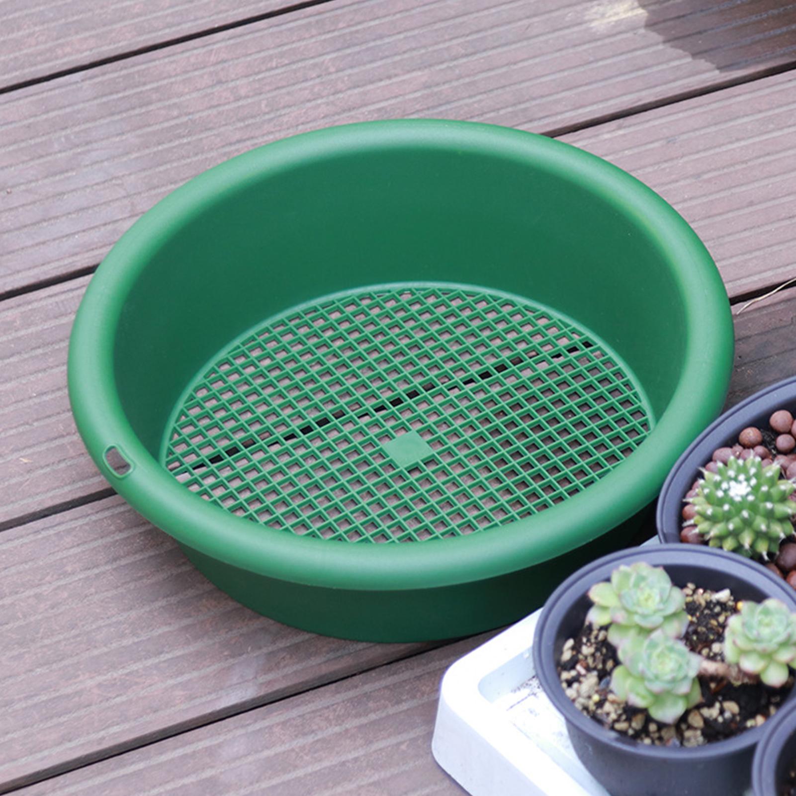 Sifter for Rocks Rustproof Pel - Tissue Culture Plant ulasan dan harga