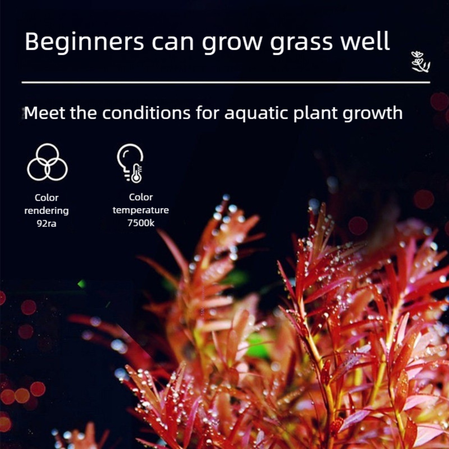 LED Aquarium Light for 12 Inch - Planted Aquarium Freshwater ulasan dan harga