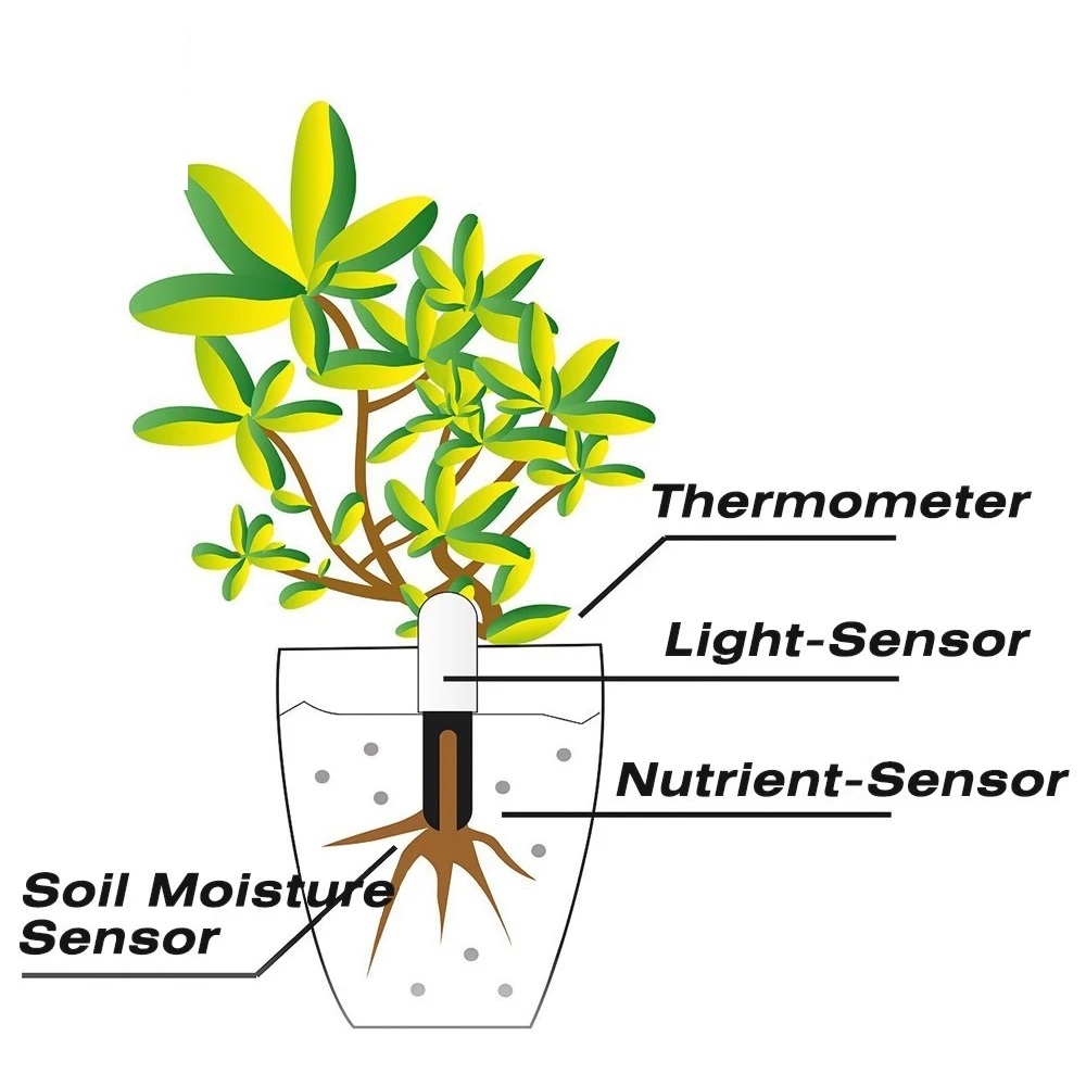 HHCC Flower Monitor Flora Gard - Tissue Culture Plant ulasan dan harga