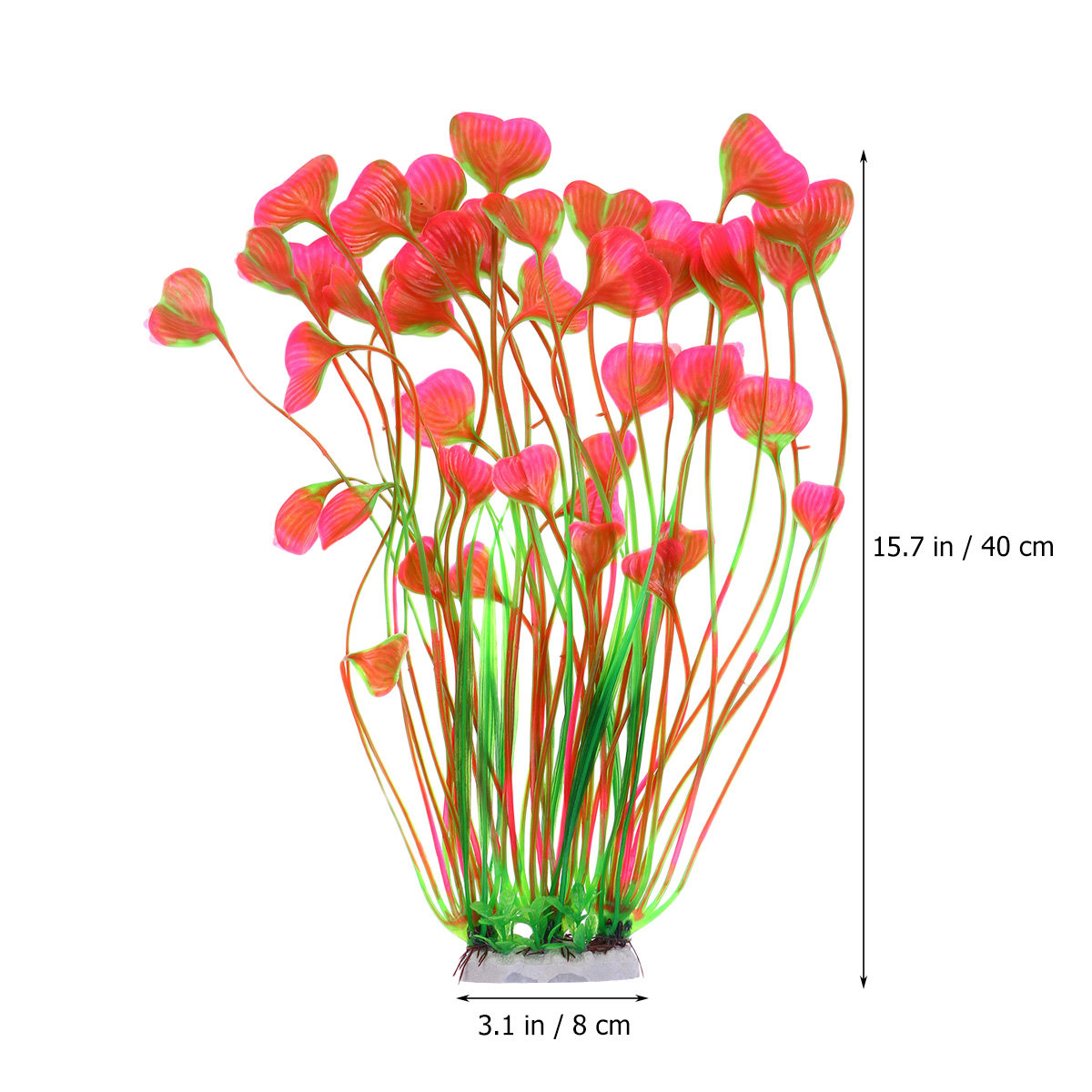 40cm Aquarium Plant Heart Gras - Planted Aquarium Freshwater ulasan dan harga