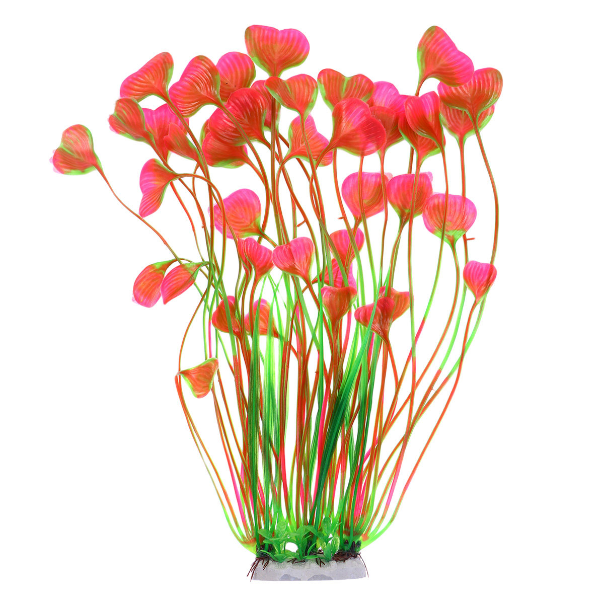 40cm Aquarium Plant Heart Gras - Planted Aquarium Freshwater ulasan dan harga