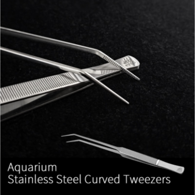 Week Aqua Stainless Steel Aqua - Planted Aquarium Freshwater ulasan dan harga